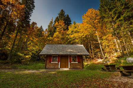 Cabaña en el bosque otoñal