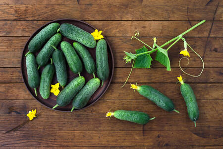 Cucumbers on a wooden table