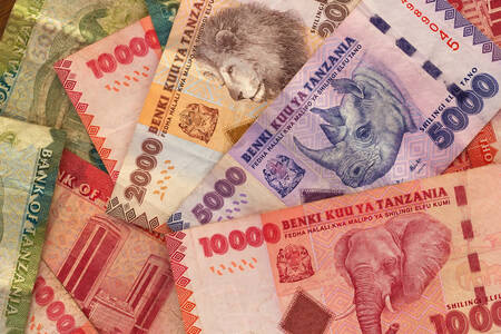Novčanice tanzanijskog šilinga