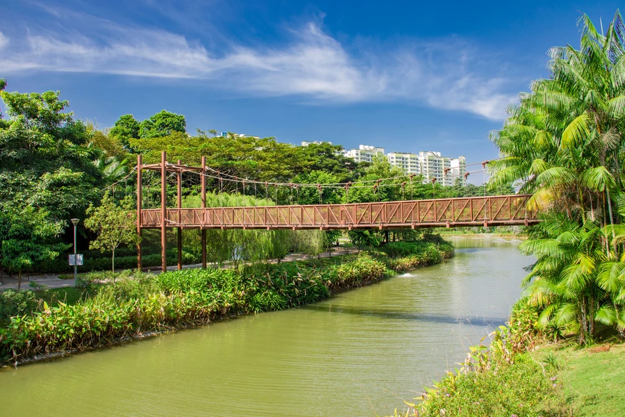 Adventure bridge in a Singapore park