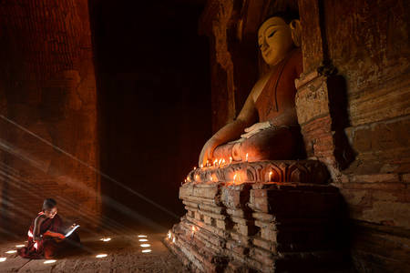 Călugăr novice în templu