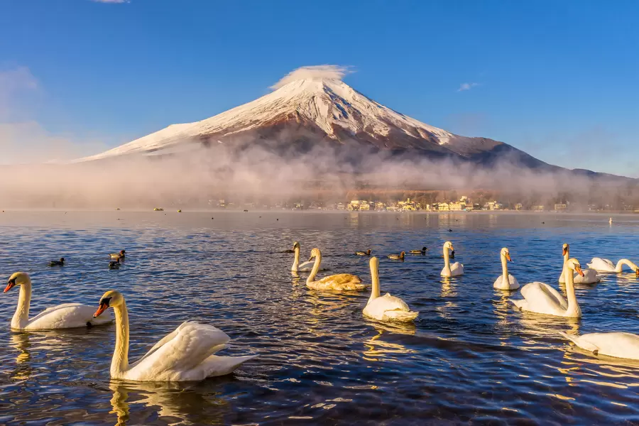 Mount Fuji-sikt från sjön Yamanaka