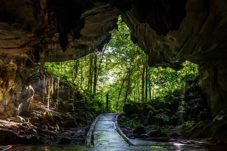 Пещера в Национальном парке Мулу