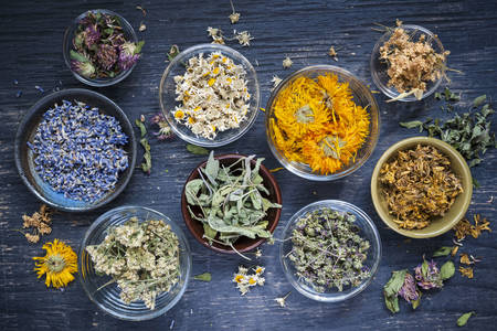 Dried herbs for tea