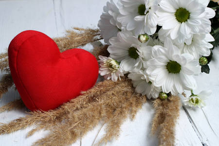White chrysanthemums and red heart