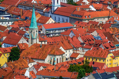 Roofs of the town of Celje