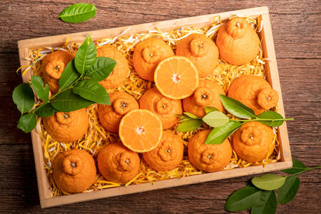 Oranges in a wooden box