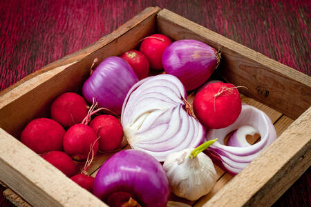 Red onion and radish