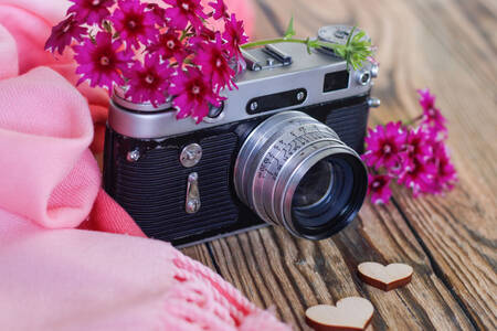 Retro macchina fotografica e fiori rosa