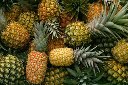 Hawaiian pineapples