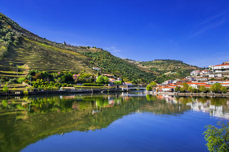 Pinhao City and Vineyards