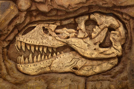 Os de dinosaure