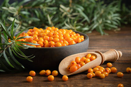 Rakytníkové bobule na stole