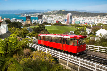 Žičara u Wellingtonu