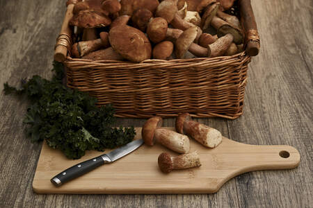 Porcini mushrooms on a wooden table