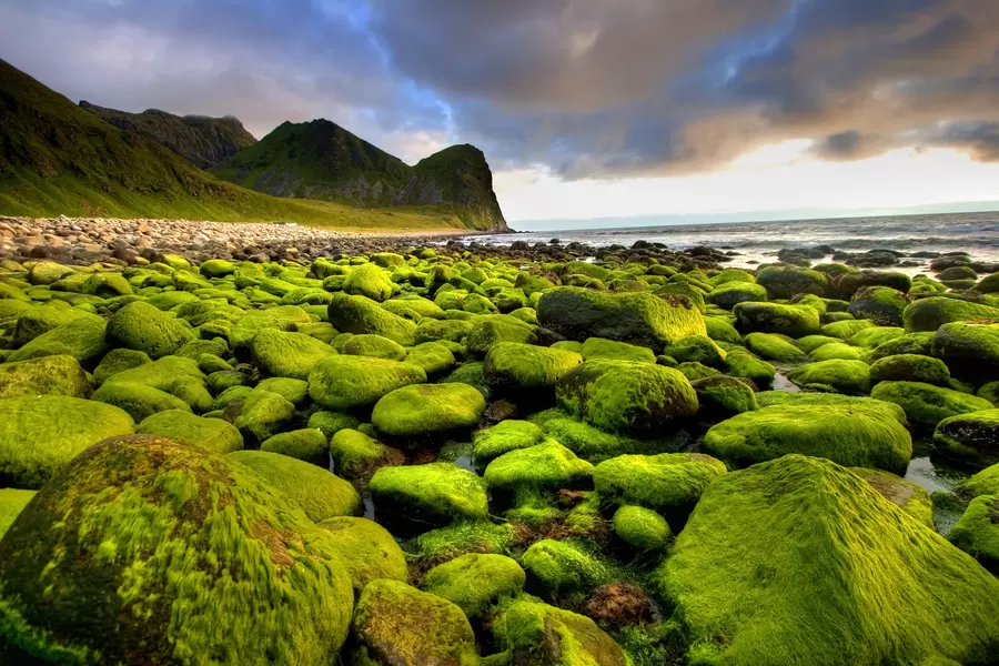 Paesaggio naturale della Norvegia