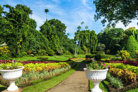 Королівський ботанічний сад