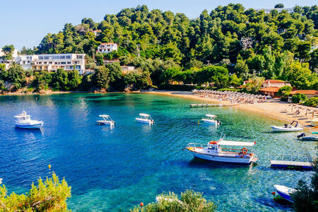 Boats on the island of Skiathos