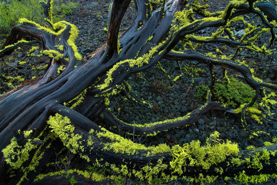 Radio Corazón online Señal en vivo 101.3 FM, Santiago de Chile