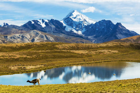 Bolivian mountains