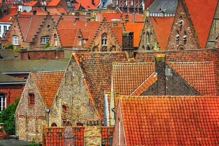 Brugge-i háztetők