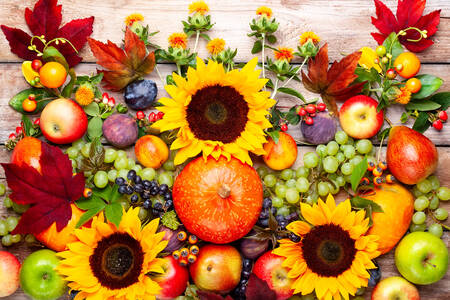 Floarea soarelui, fructele și fructele de pădure