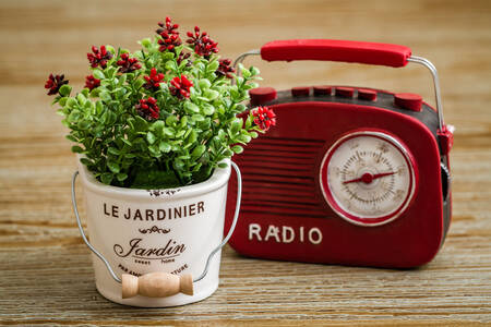 Retro radio and flower