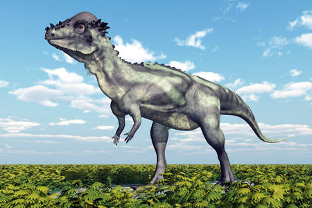Pachicefalosauro