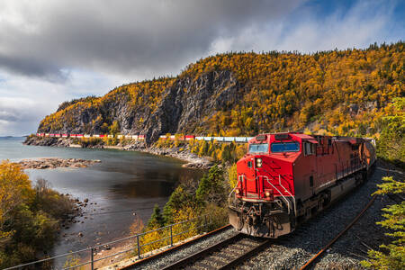 Red freight train