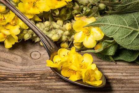 Yellow flowers in spoons