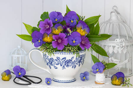 Blauwe viooltjes