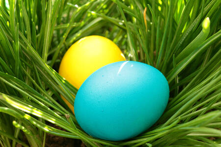 Uova di Pasqua sull'erba