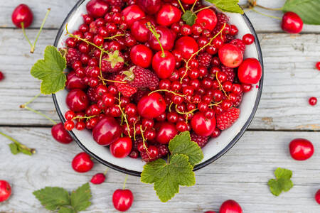 Bowl of berries