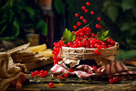 Red currants in a bowl