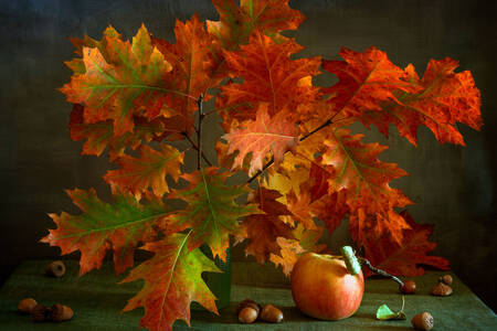 Jesienne liście dębu