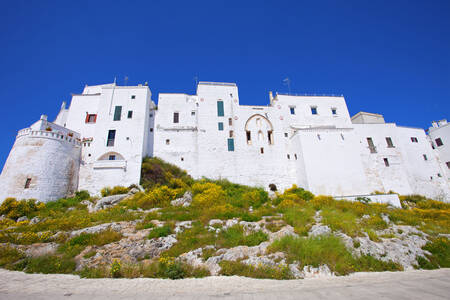 White houses in Ostuni