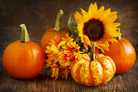 Fiori e zucche sul tavolo