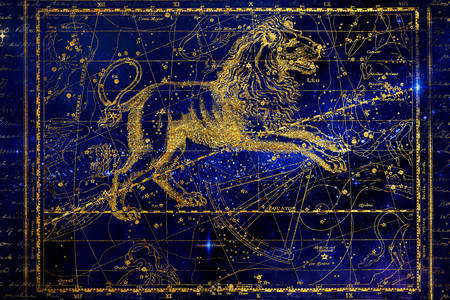 Znak zodiaku lew