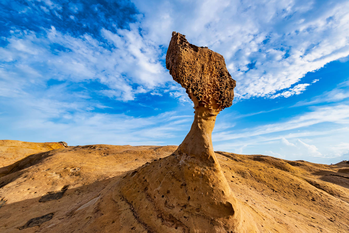 That rocks. Yehliu Geopark. Йелиу Тайвань. Yehliu.