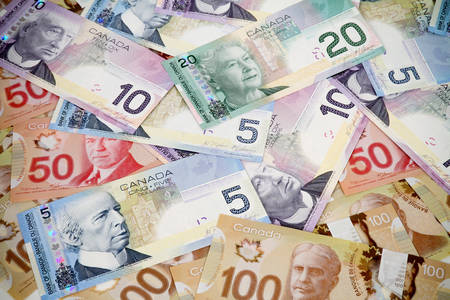 Dolarul canadian