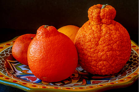 πορτοκάλια σε ένα πιάτο
