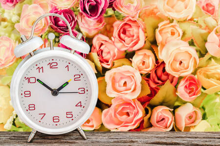 Alarm clock and roses