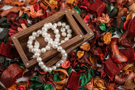 Pearl necklace in a box
