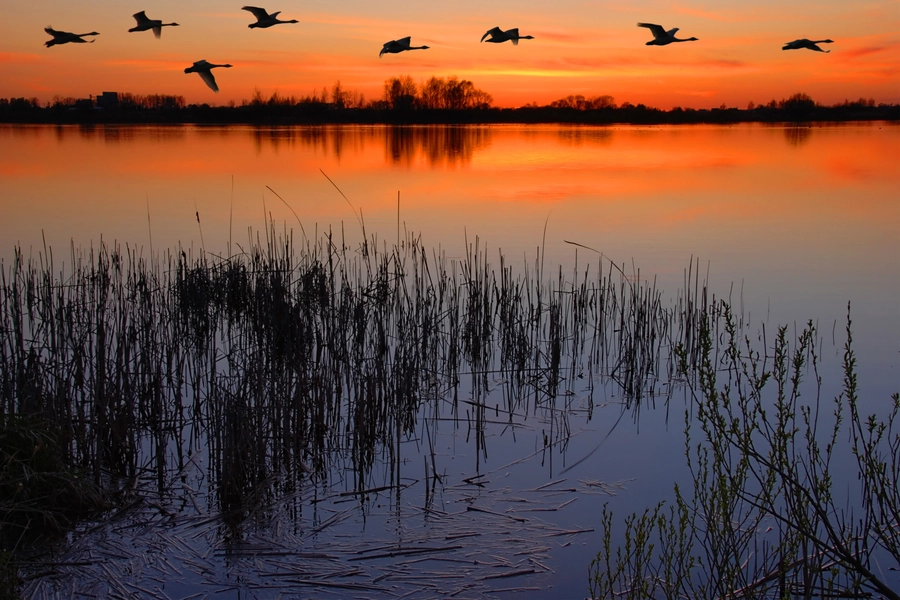 Lake at dusk