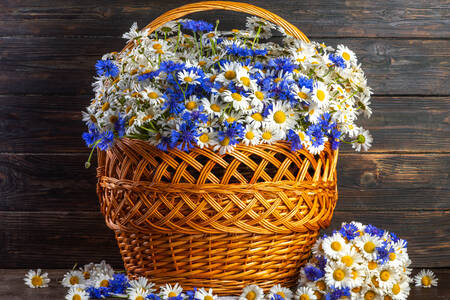 Panier avec des marguerites et des bleuets