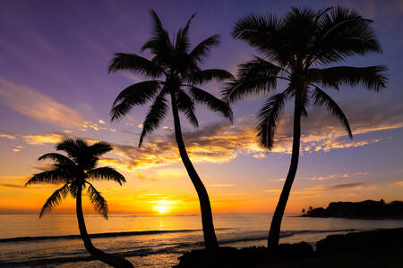 Zonsondergang op een Hawaiiaans strand