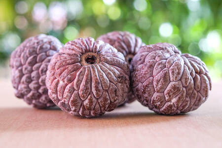 Sugar apples on the table