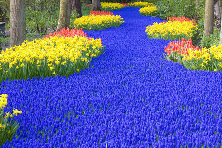 Keukenhof Gardens in Lisse