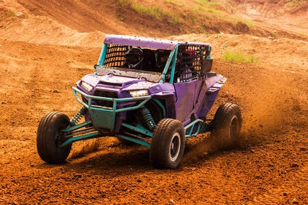 Extreme buggy riding