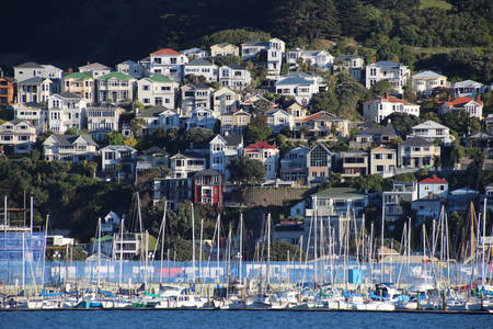 Vista di Wellington